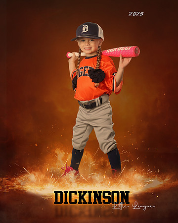TB_TIGERS_Shafer_Harper_DLL12293_ROF