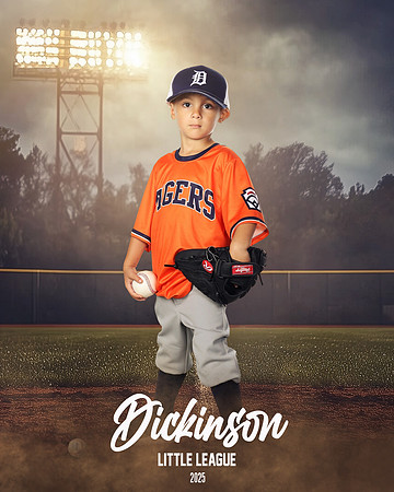 TB_TIGERS_Tiffany_Charles_DLL11650_FIELD LIGHTS_