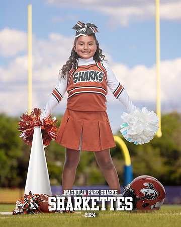 MASCOT_Castellanos_Aimee_IMGL1363_GOAL POST_