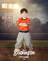 TB_TIGERS_Smith_William_DLL11541_FIELD LIGHTS_