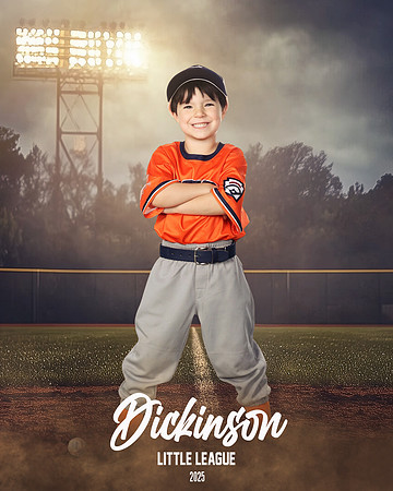 TB_TIGERS_Smith_William_DLL11541_FIELD LIGHTS_