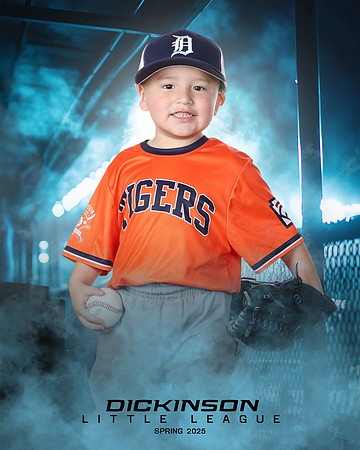 TB_TIGERS_villanueva_Giovanni_DLL11539_DUGOUT_