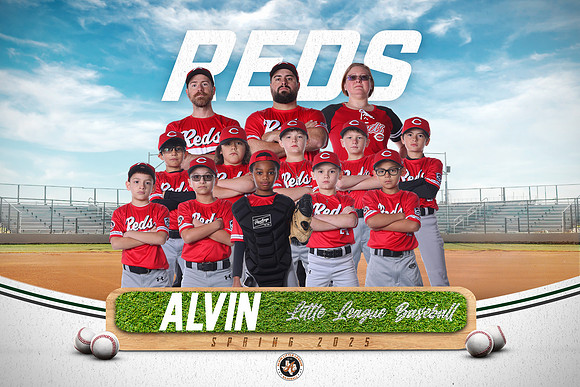 MINORS_REDS_10U