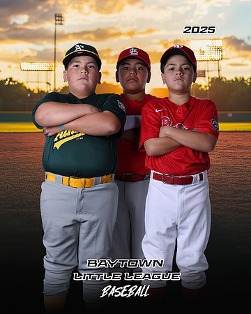 MJR_Cardinals_Guerrero_Damian_BAY29726_MULTIS