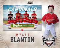 M3_ Cardinals_Blanton_Wyatt_BAY28002_MM