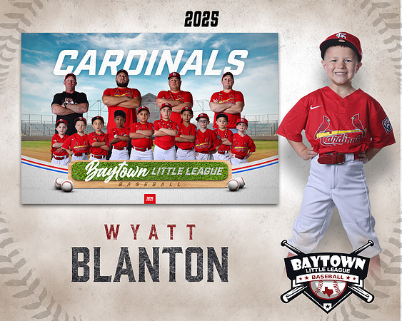 M3_ Cardinals_Blanton_Wyatt_BAY28002_MM