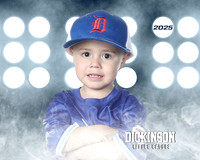 TB_BLUEJAYS_Kovacevich_Graceson_DLL11652_LIT