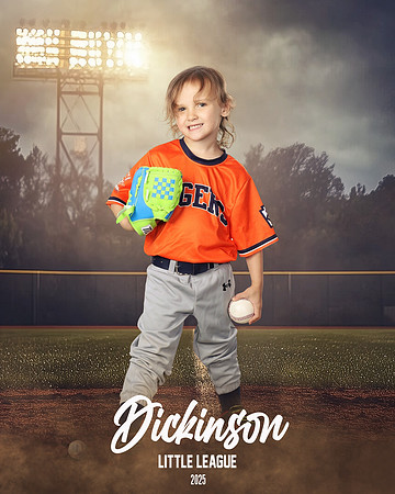 TB_TIGERS_Thorne_Anthony_DLL11627_FIELD LIGHTS_