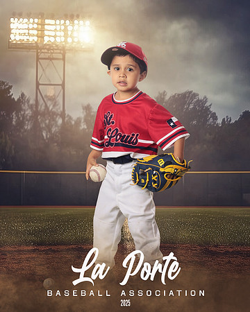 4U_Foal_Cardinals_Chavez_Zed_LP022533_FIELDLIGHTS