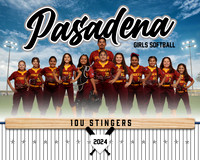 10U STINGERS