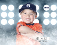 TB_TIGERS_villanueva_Giovanni_DLL11532_LIT