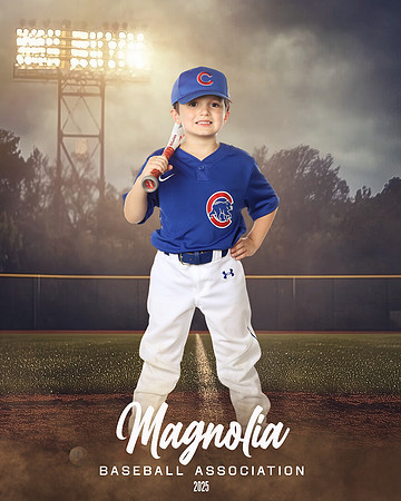 6U_Cubs_McCullen_Gentry_MAG11533_FIELD LIGHTS_