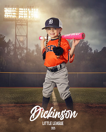 TB_TIGERS_Shafer_Harper_DLL12293_FIELD LIGHTS_