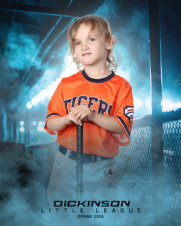 TB_TIGERS_Thorne_Anthony_DLL11626_DUGOUT_