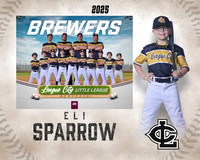 A.Sparrow.Brewers_Sparrow_Eli_IMG_0427_MM_MM