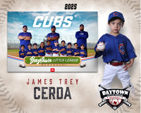 TB_ Cubs_CERDA_JAMES TREY_BAY29770_MM