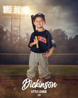 TB_ASTROS_DUES_LUKE_DLL29684_FIELD LIGHTS_