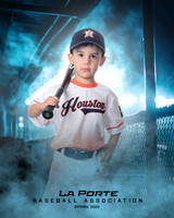 4U_Foal_Astros_Tudon_Thomas_LP022663_DUGOUT