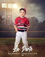 4U_Foal_Cardinals_Totten_William_LP022579_FIELDLIGHTS