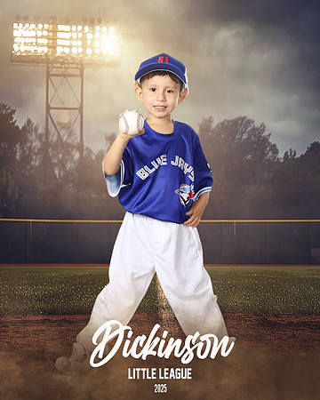 TB_BLUEJAYS_Lara_Santiago_DLL11673_FIELD LIGHTS_