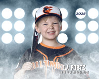 4U_Foal_Orioles_Jarvis_Ryder_LP010395_LIT