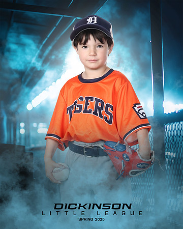 TB_TIGERS_Smith_William_DLL11548_DUGOUT_