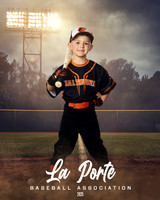 4U_Foal_Orioles_Balderrama_Rhett_LP010385_FIELDLIGHTS