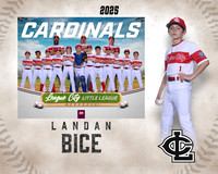 MJR.Powell.Cardinals_Bice_Landan_143A1733_MM