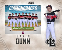 AA.Swartz.Diamondbacks_Dunn_Gavin_143A1459_MM_MM