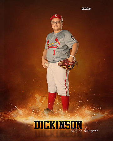 MJR_CARDINALS_Torres_Brody_DLL13160_ROF