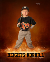 TB_TIGERS_Segars_Rhett_HN020956_ROF