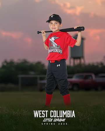 JR MINOR WOODPECKERS_Solis_Slayton_WC010976_TRUCKS_