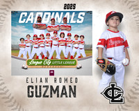 CP.Gibson.Cardinals_Guzman_Elian_SF_27489_MM