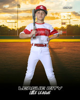AAA.Lutz.Cardinals_Frankovich_Carter_IMG_1992_SUNSHINE