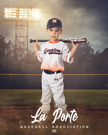 4U_Foal_Astros_Tudon_Thomas_LP022665_FIELDLIGHTS