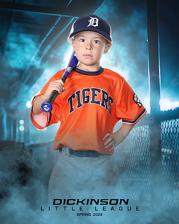 TB_TIGERS_ROUSER_Landon_DLL11526_DUGOUT_