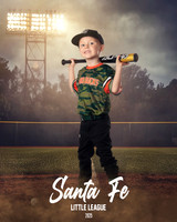 CP5_WOODDUCKS_Tatyrek_Cooper_IMGL8405_FIELDLIGHTS