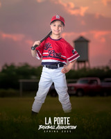 4U_Foal_Cardinals_Gamblin_Palmer_LP022818_TRUCK