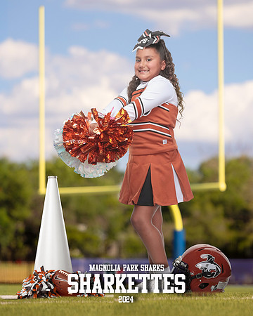 MASCOT_Castellanos_Aimee_IMGL1365_GOAL POST_