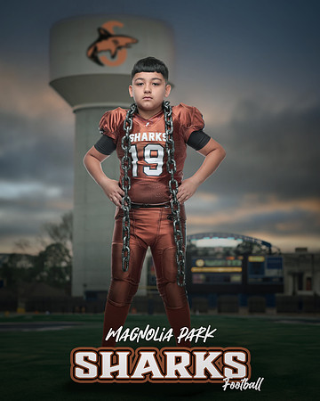 JUNIOR_Mendez_Daniel_IMGL0464_WATER TOWER_