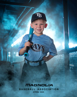 4_5U_Rays_Stephens_William_MAG25467_DUGOUT_