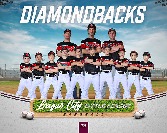 A.Stromfeld.Diamondbacks_NO BG