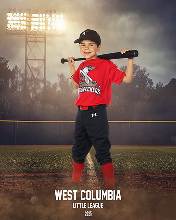 JR MINOR WOODPECKERS_Solis_Slayton_WC010975_FIELD LIGHTS_