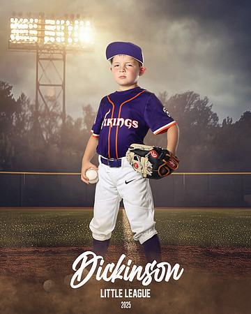 CP7_VIKINGS_Bunch_Braden_DLL12579_FIELD LIGHTS_