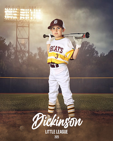 CP8_BOBCATS_BROZE_JACOB_DLL12367_FIELDLIGHTS
