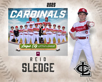 AAA.Lutz.Cardinals_Sledge_Reid_143A1943_MM_MM