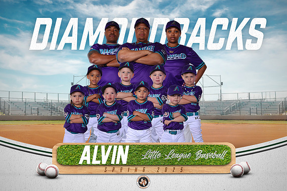 JR_TB_DIAMONDBACKS