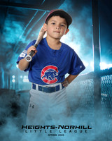 TB_CUBS_Carrasco_Levi_HN010337_DUGOUT