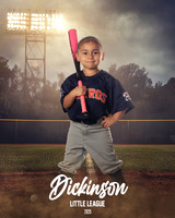 TB_ASTROS_Alvarez_Glenda_DLL29665_FIELD LIGHTS_