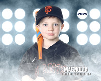 4_5U_Giants_Dowling_Bradey_MAG10300_LIT
